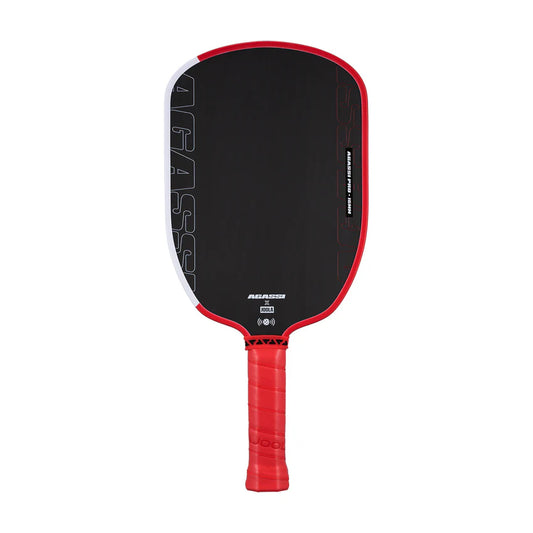 JOOLA Andre Agassi Pro IV 16mm Pickleball Paddle